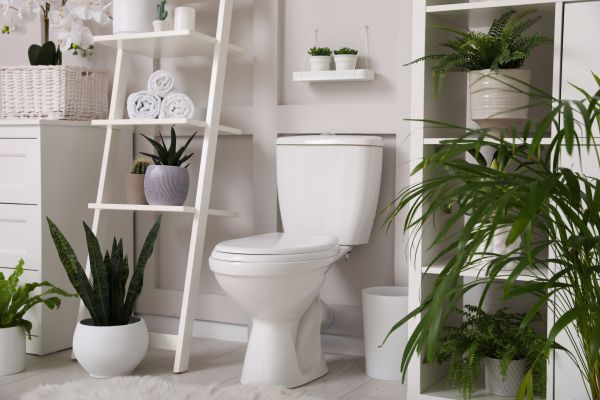 Toilet Repair in Nashua